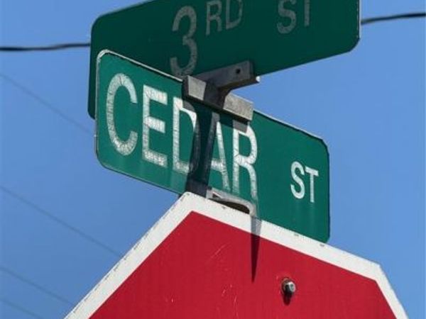 3rd and Cedar Street, Ridgeway, MO 64481