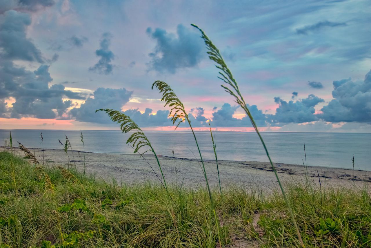 15129 Harriet Avenue, Jupiter, FL 33458 Photo