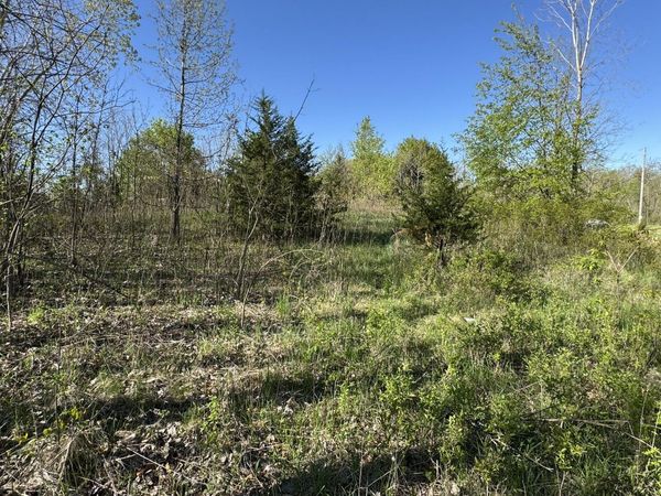 Lot C Stoney Lane, Eaton Rapids, MI 48827