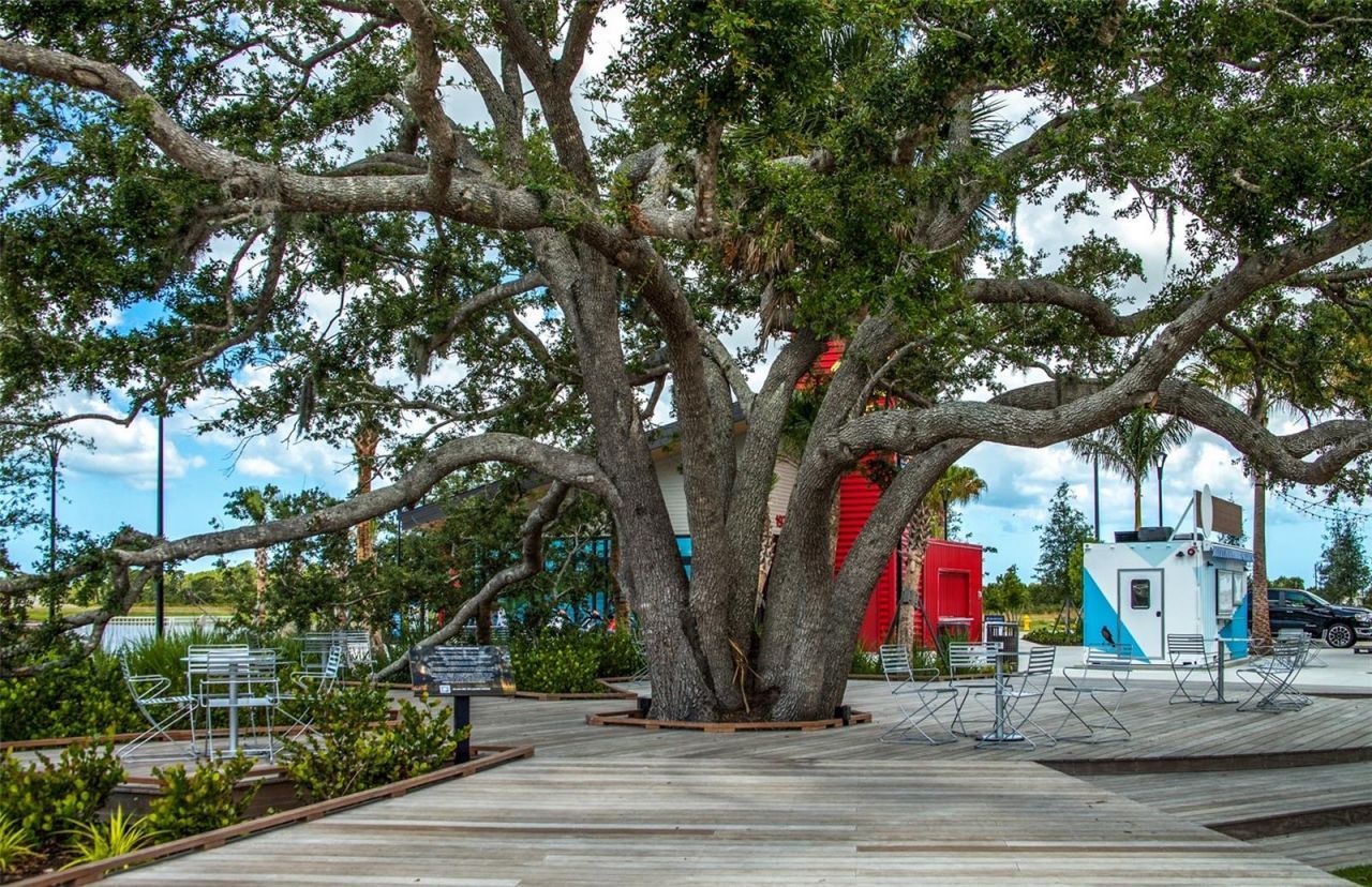 172 Southampton Place, Unit 346, Venice, FL 34293 Photo