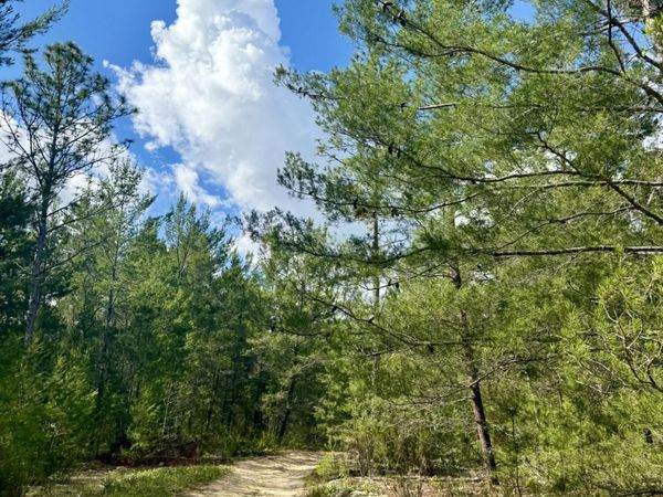 269 ALABAMA Drive, Hawthorne, FL 32640