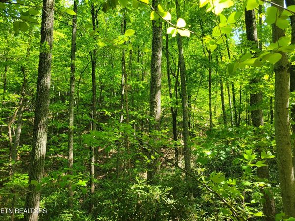 Lot 8 John Sevier Drive, Sevierville, TN 37876