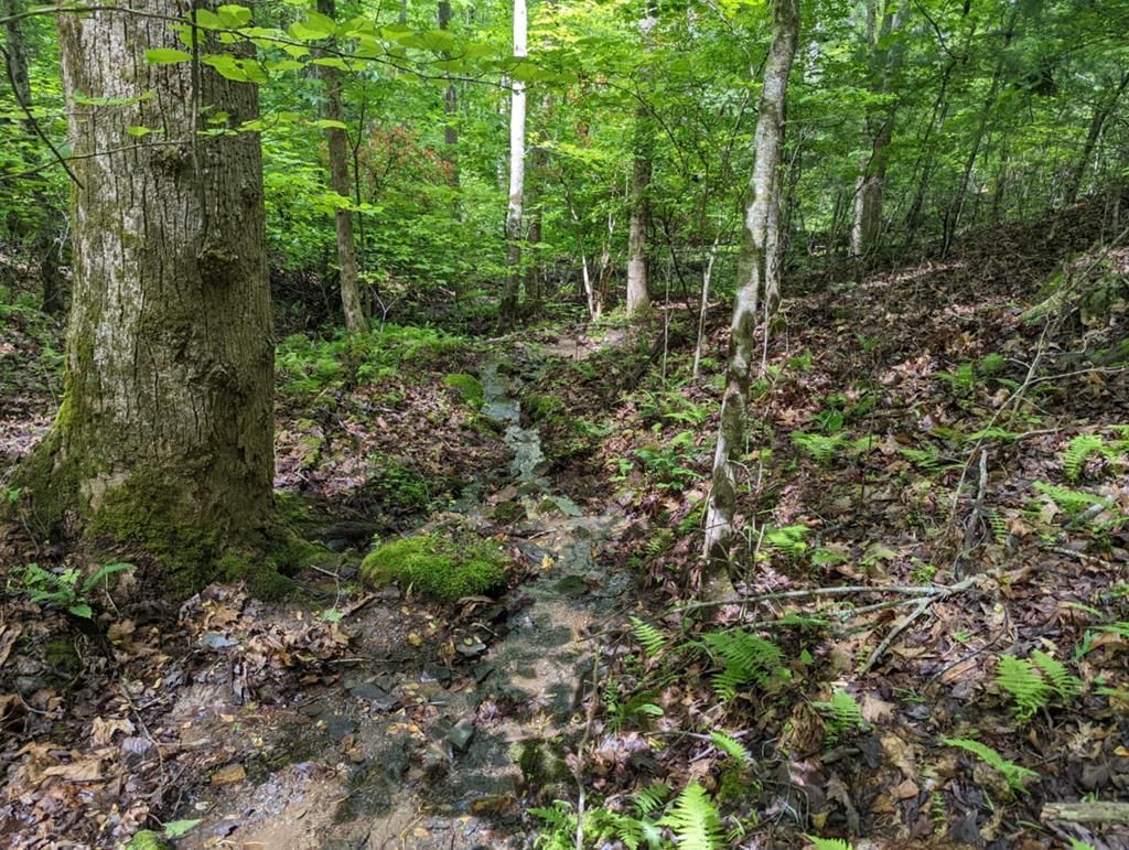 Tbd Heritage Trail, Brasstown, NC 28902 Main Photo