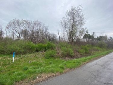 VL Lake Shore Road, Lake View, NY 14085