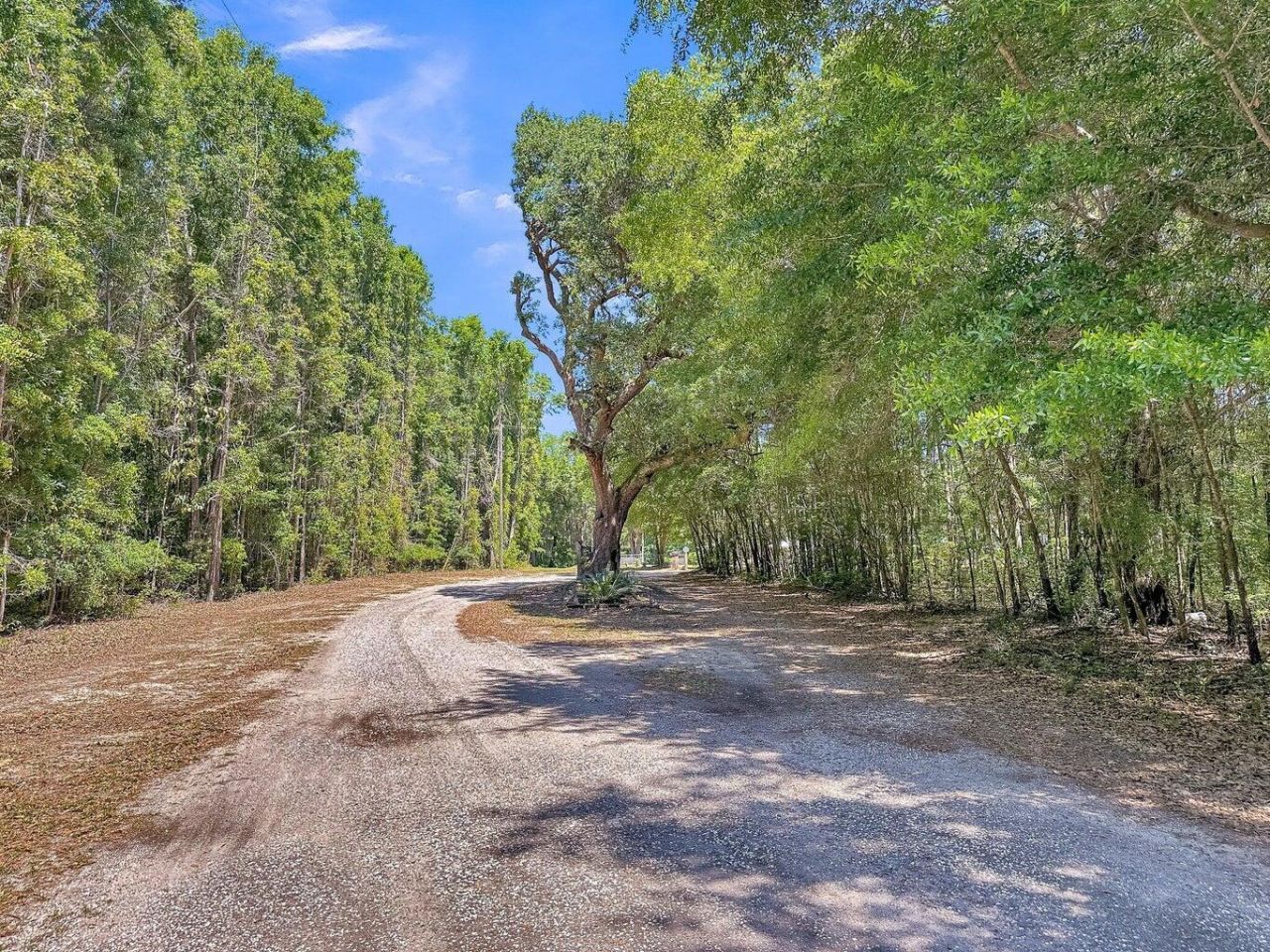 5137 Clarance Photo 14