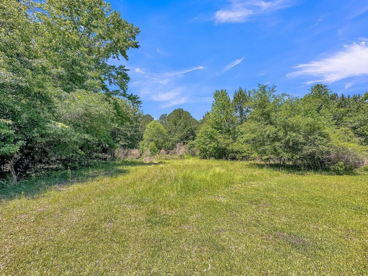 5137 Clarance Photo 16