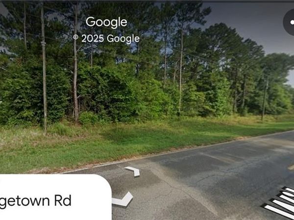 0 Wilmer Georgetown Road, Wilmer, AL 36587