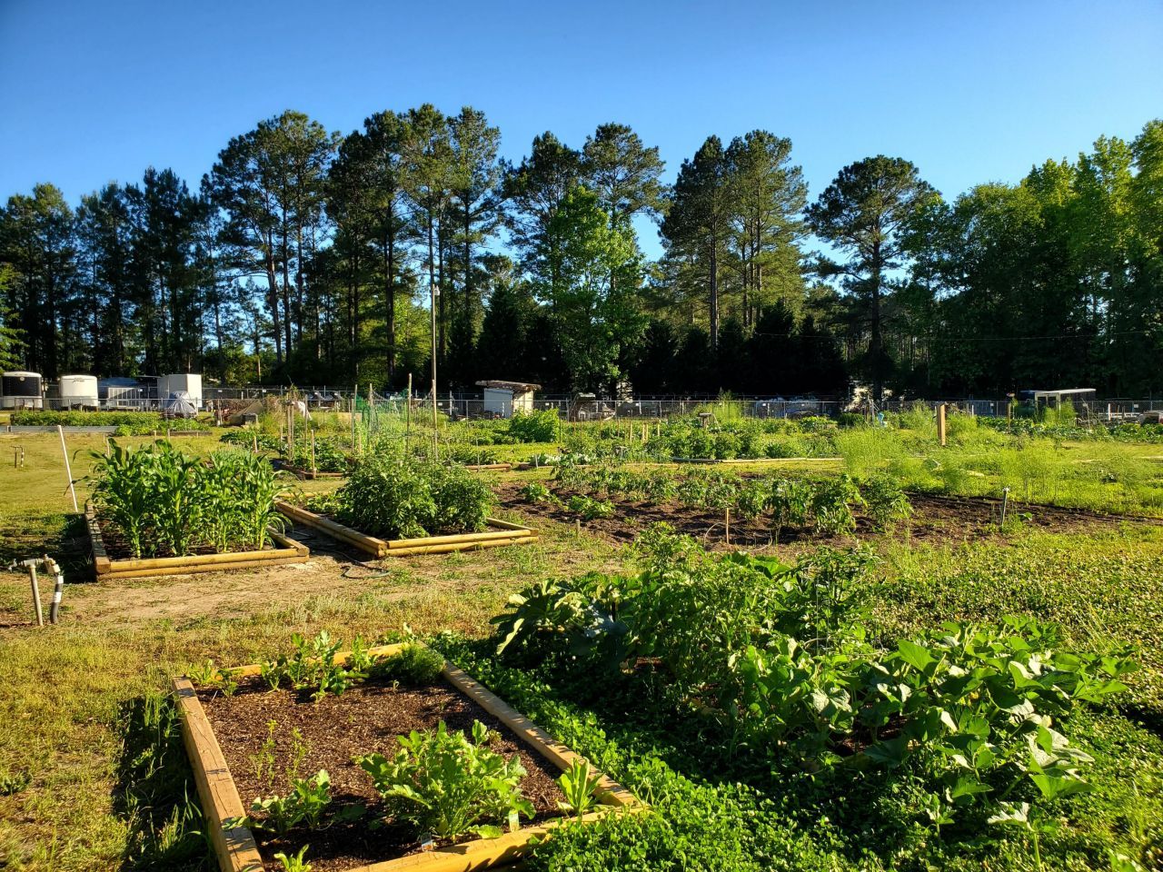 258 Ridge Lake Drive Photo 22