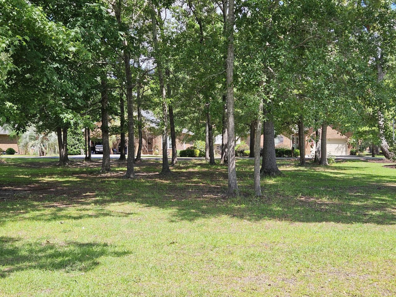 258 Ridge Lake Drive Photo 5