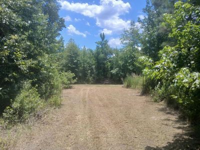 0 Primus Drive Drive, Saint George, SC 29477