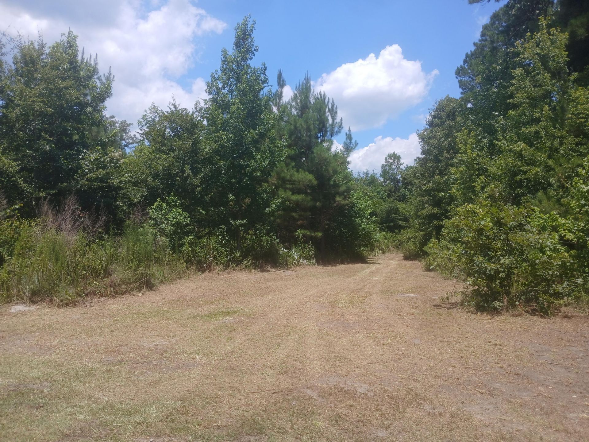 0 Primus Drive Drive Photo 11