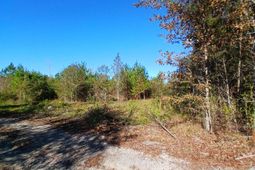 0 Primus Drive Drive photo 4