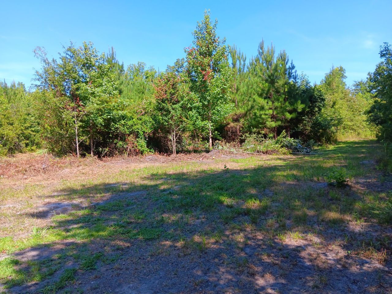 0 Primus Drive Drive Photo 4