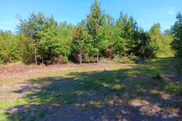 0 Primus Drive Drive photo 4