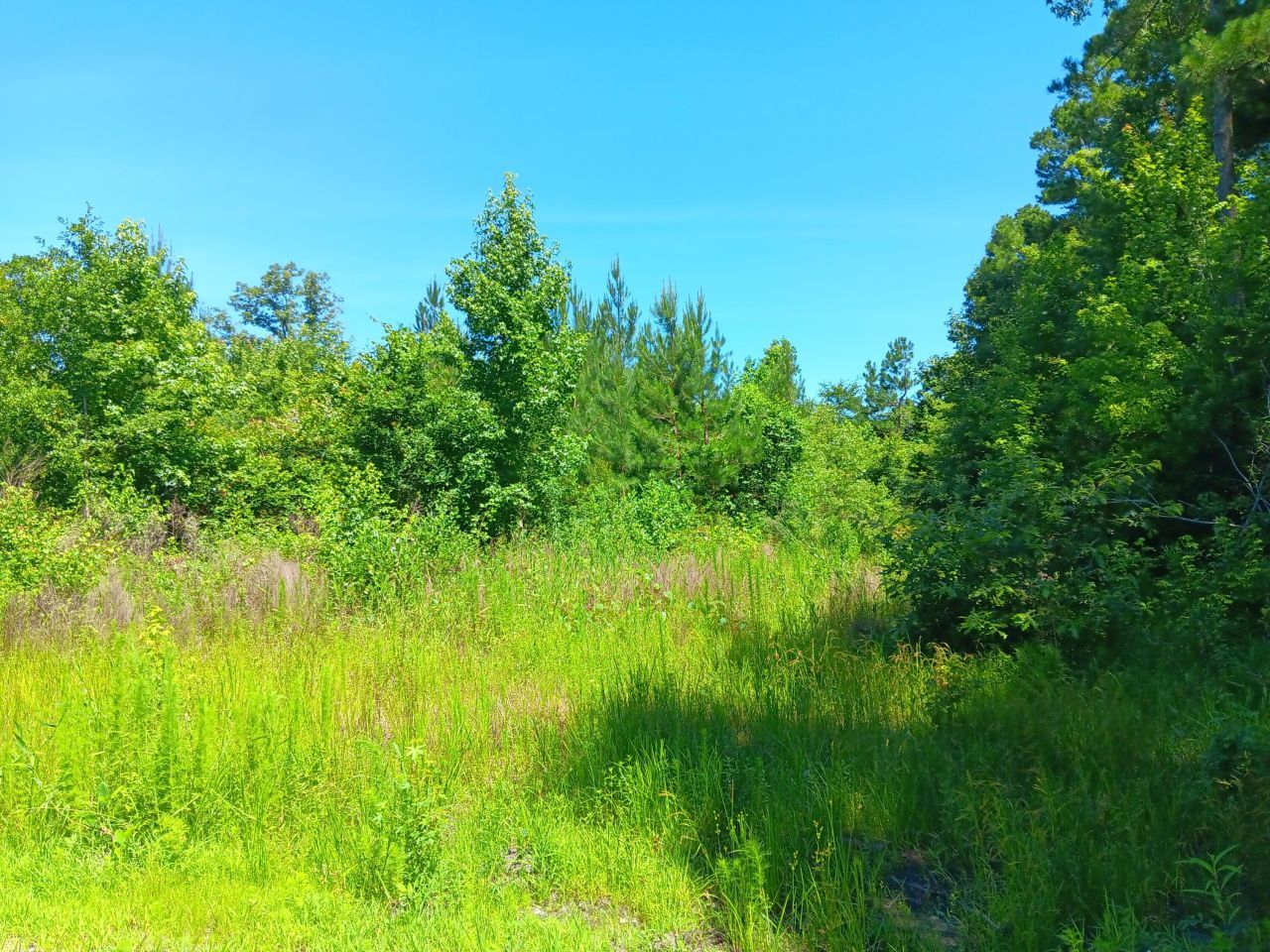 0 Primus Drive Drive Photo 5