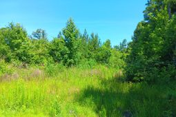 0 Primus Drive Drive photo 4