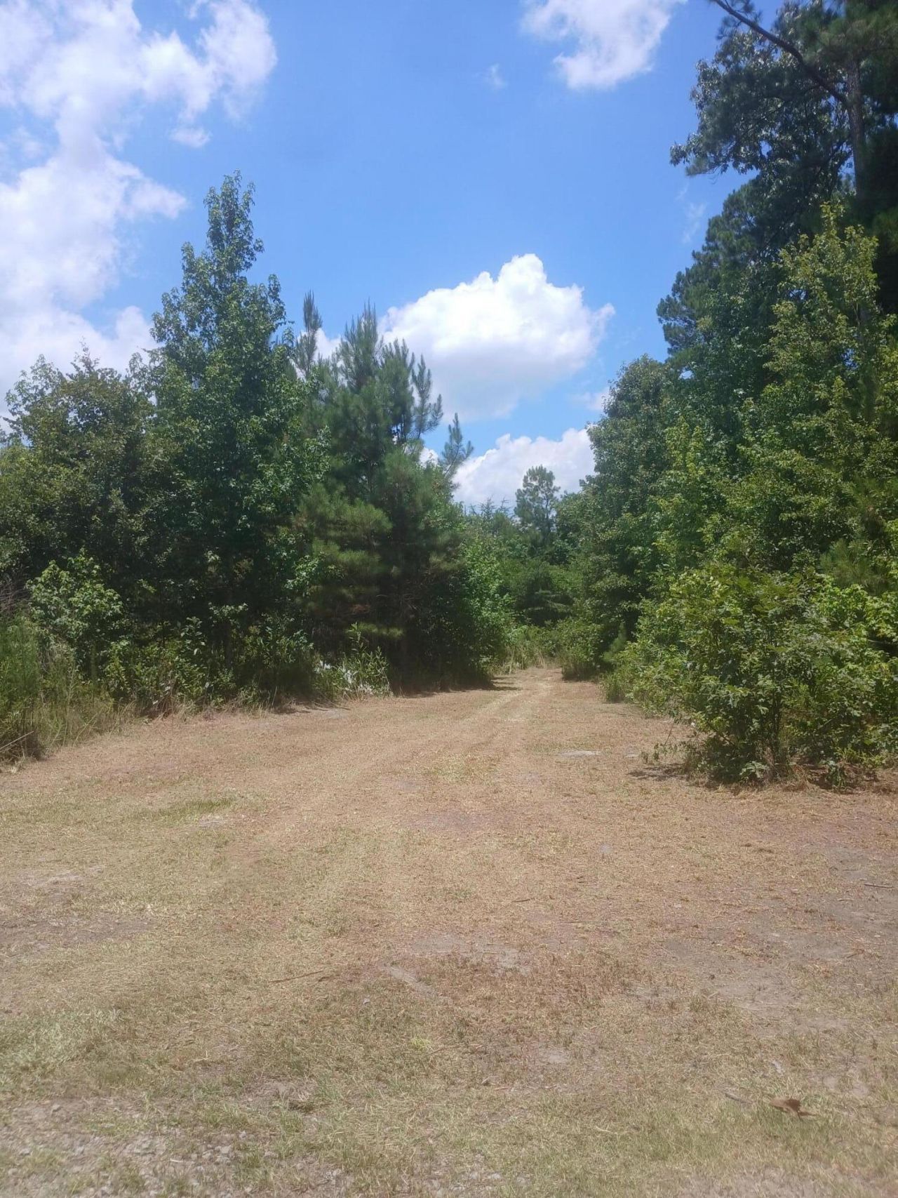 0 Primus Drive Drive Photo 6