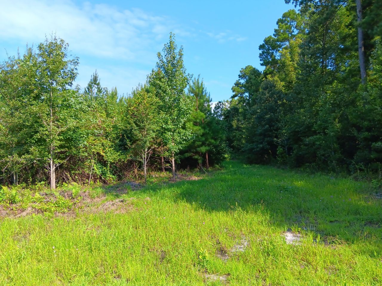 0 Primus Drive Drive Photo 6