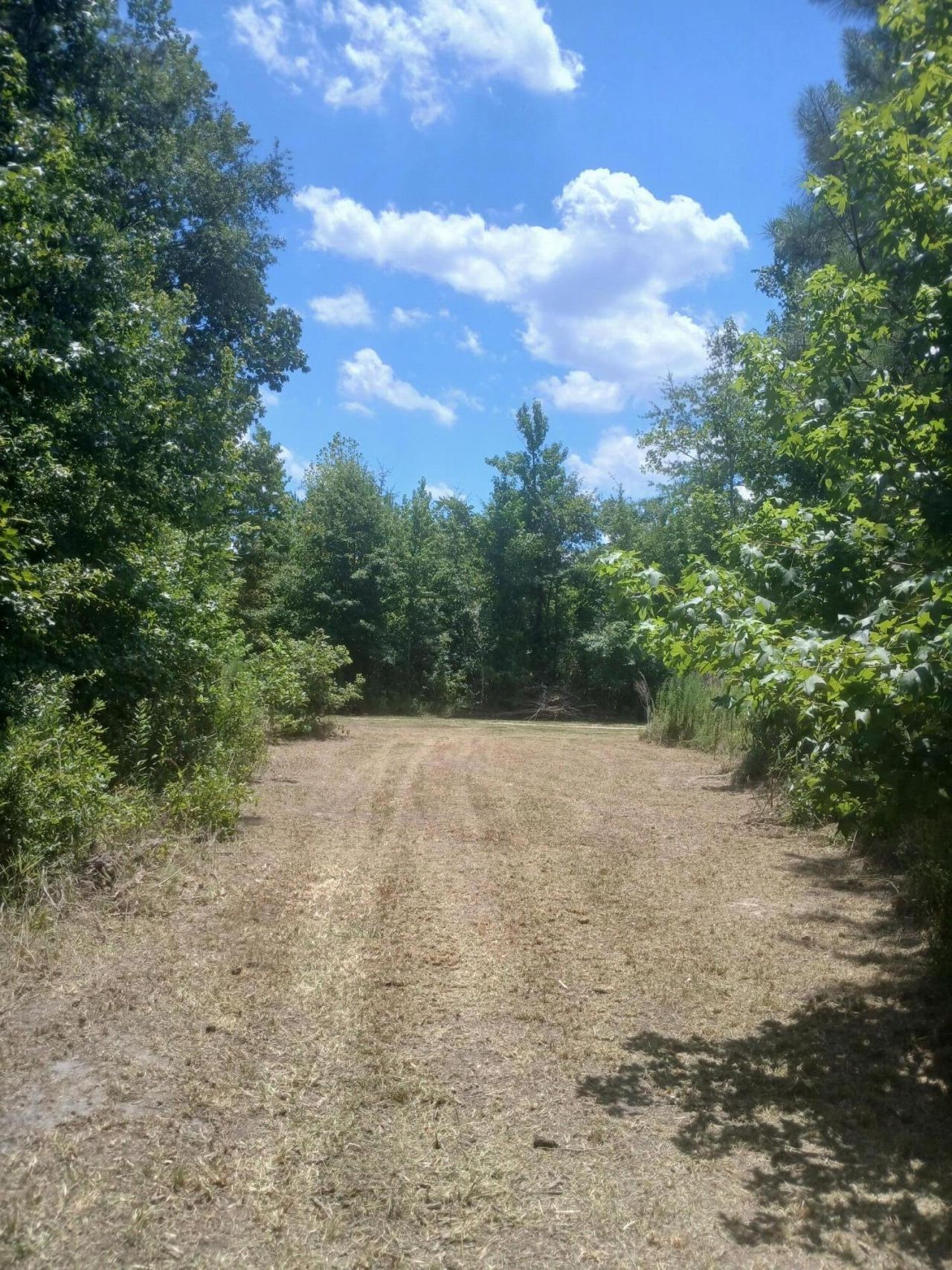 0 Primus Drive Drive Photo 8