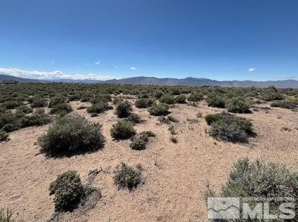 365 Ludwig Lane, Smith, NV 89430 Photo