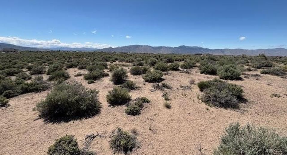 365 Ludwig Lane, Smith, NV 89430 Photo