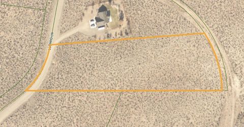 365 Ludwig Lane, Smith, NV 89430 Photo