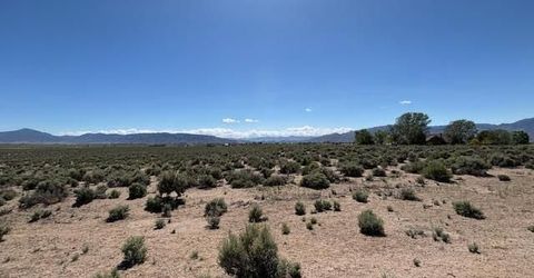 365 Ludwig Lane, Smith, NV 89430 Photo