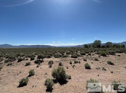 365 Ludwig Lane, Smith, NV 89430 Photo