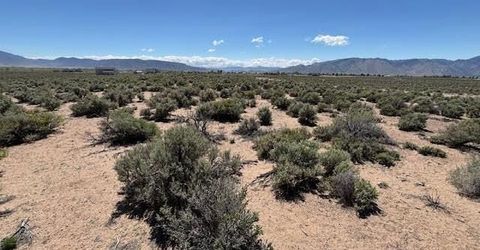 365 Ludwig Lane, Smith, NV 89430 Photo