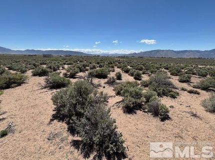 365 Ludwig Lane, Smith, NV 89430 Photo