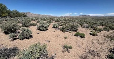 365 Ludwig Lane, Smith, NV 89430 Photo