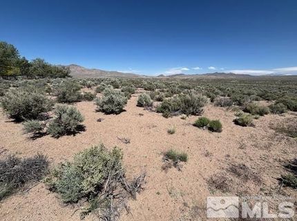 365 Ludwig Lane, Smith, NV 89430 Photo