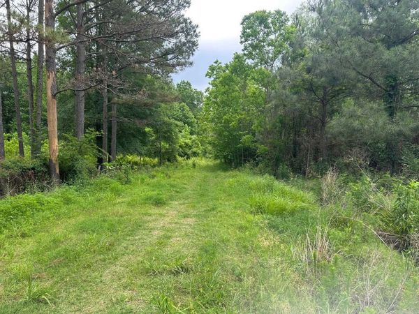 ashley rd 482, Fountain Hill, AR 71642