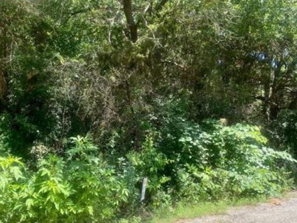 2922 Cedarbrush Street, Granbury, TX 76048