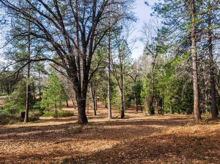 4900 Kelley Pl, Garden Valley, CA 95633 Photo