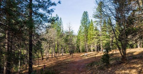 4900 Kelley Pl, Garden Valley, CA 95633 Photo