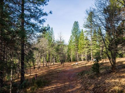4900 Kelley Pl, Garden Valley, CA 95633 Photo