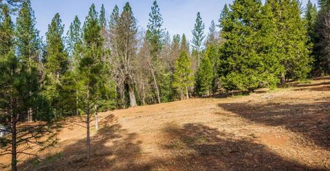 4900 Kelley Pl, Garden Valley, CA 95633 Photo
