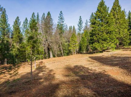 4900 Kelley Pl, Garden Valley, CA 95633 Photo