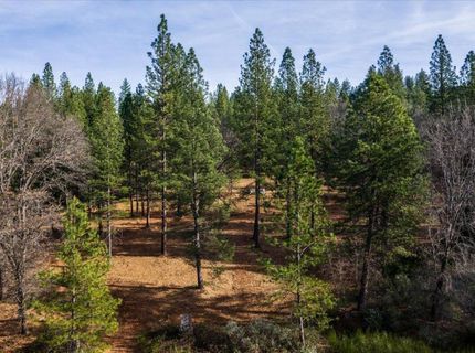 4900 Kelley Pl, Garden Valley, CA 95633 Photo
