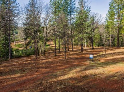 4900 Kelley Pl, Garden Valley, CA 95633 Photo