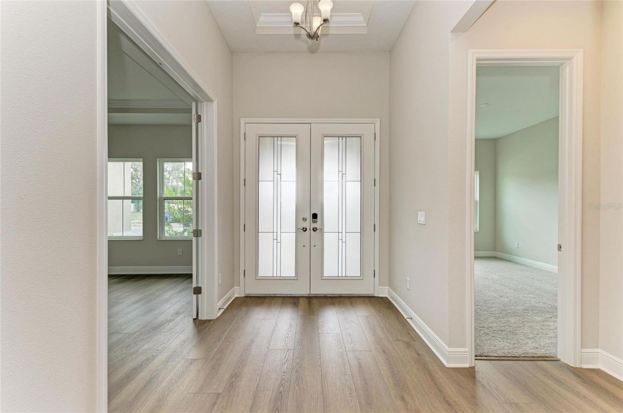 4630 Cedar Fog Ct Drive, Valrico, FL 33596 Photo