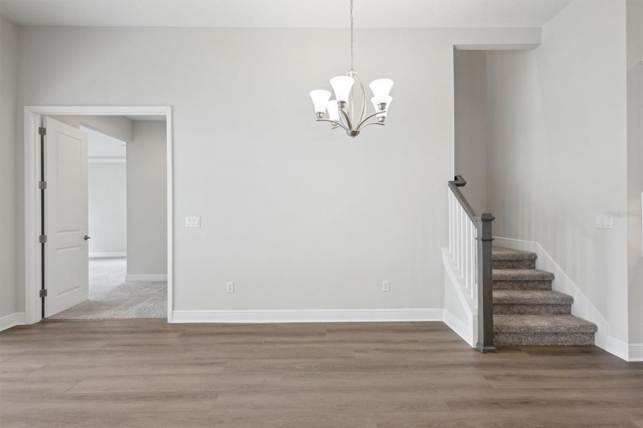 4630 Cedar Fog Ct Drive, Valrico, FL 33596 Photo