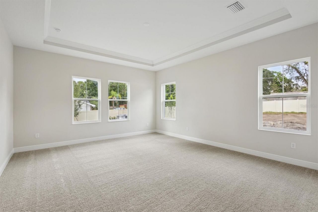 4630 Cedar Fog Ct Drive, Valrico, FL 33596 Photo