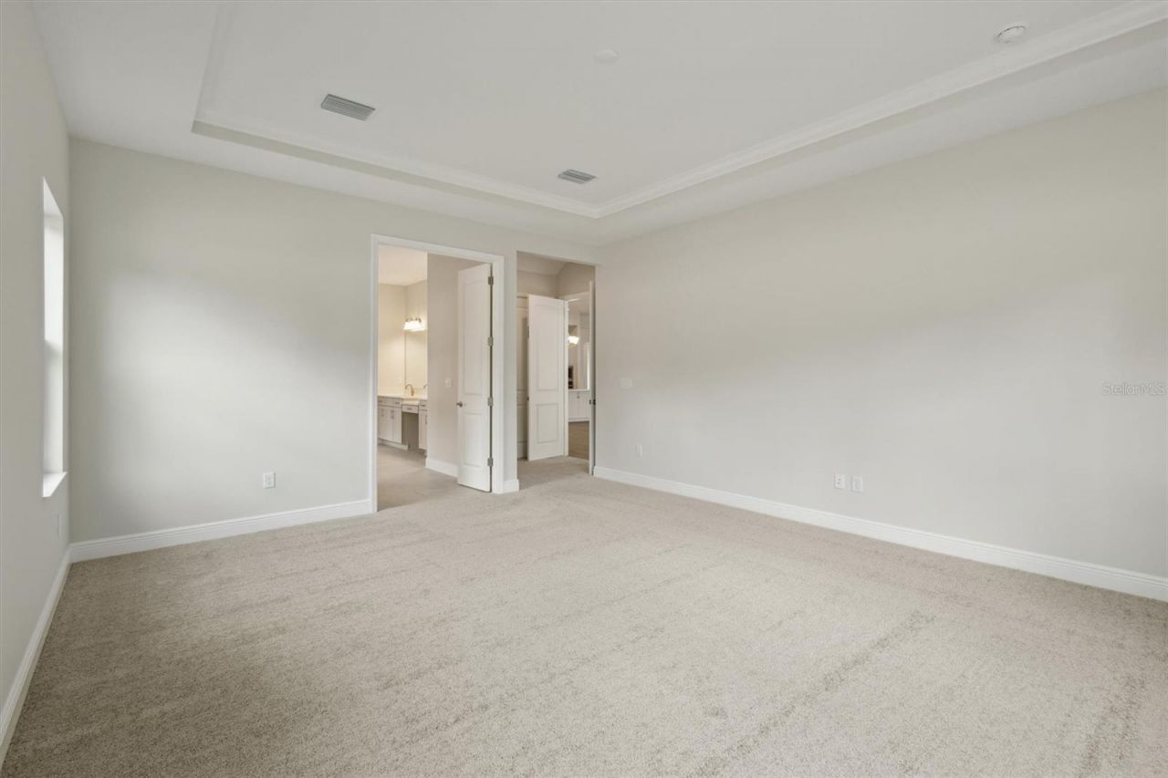 4630 Cedar Fog Ct Drive, Valrico, FL 33596 Photo