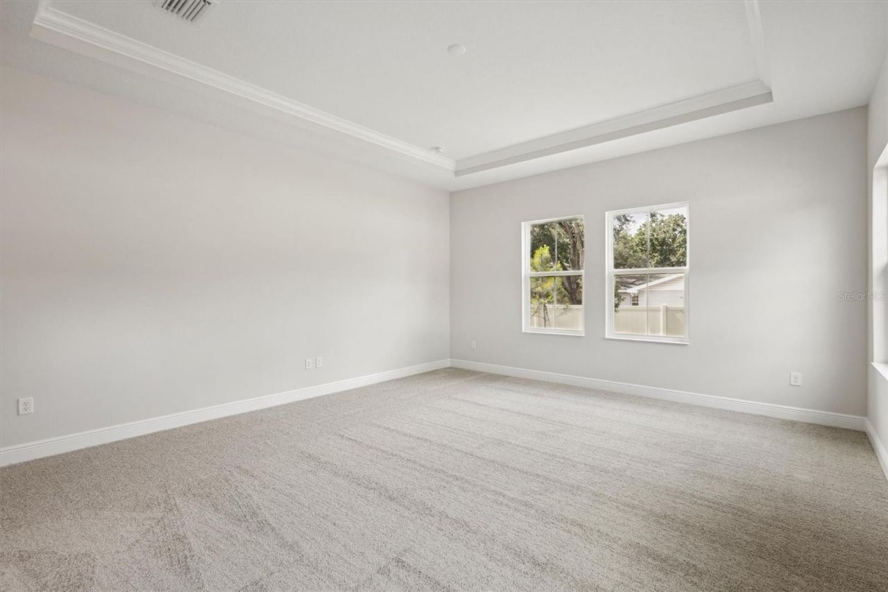 4630 Cedar Fog Ct Drive, Valrico, FL 33596 Photo