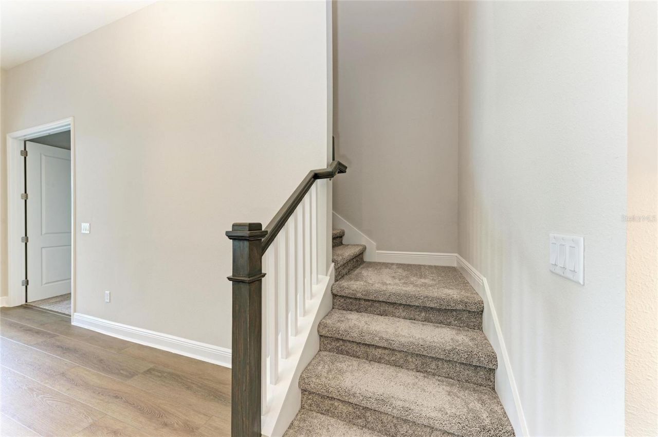 4630 Cedar Fog Ct Drive, Valrico, FL 33596 Photo