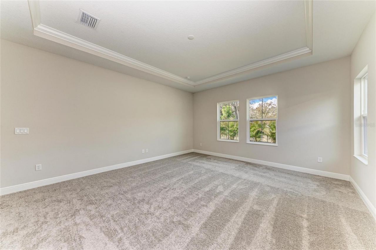 4630 Cedar Fog Ct Drive, Valrico, FL 33596 Photo