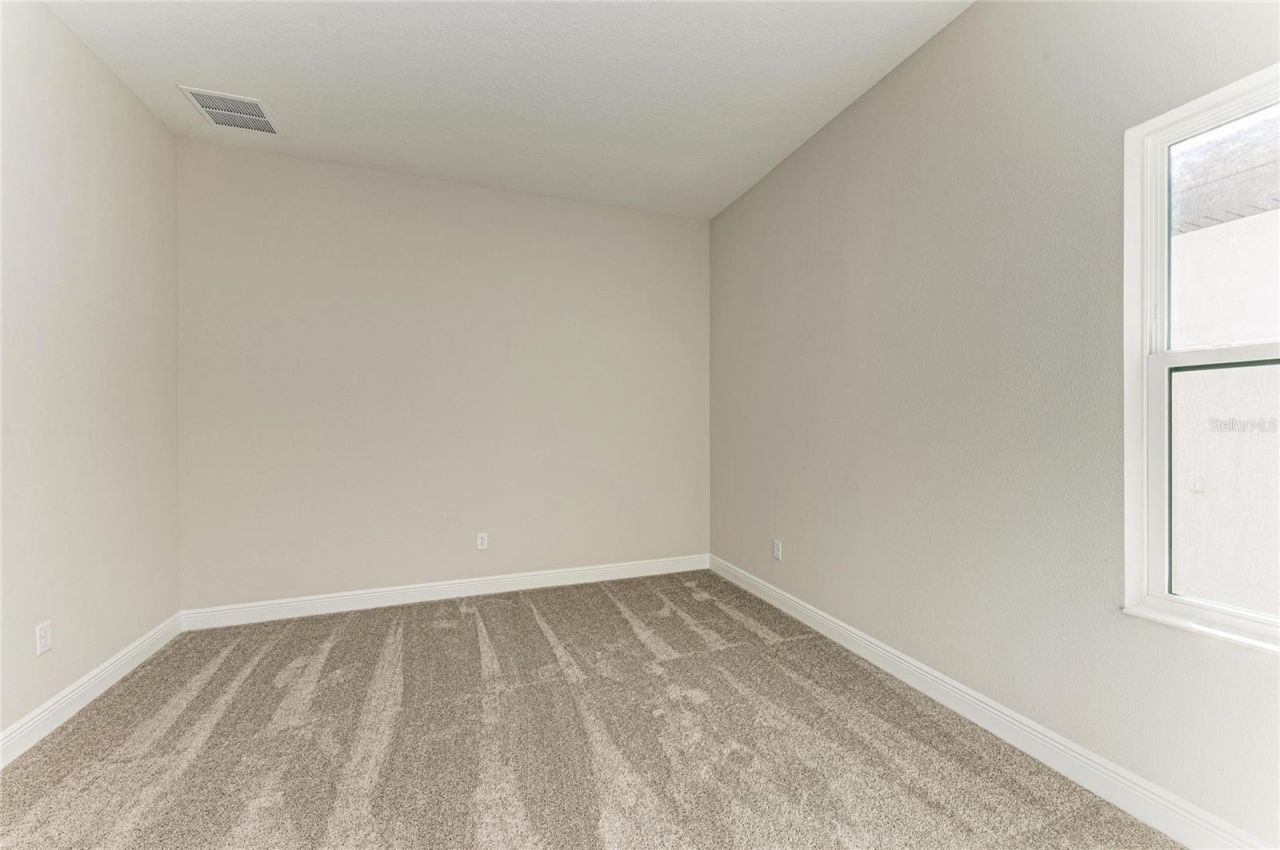 4630 Cedar Fog Ct Drive, Valrico, FL 33596 Photo