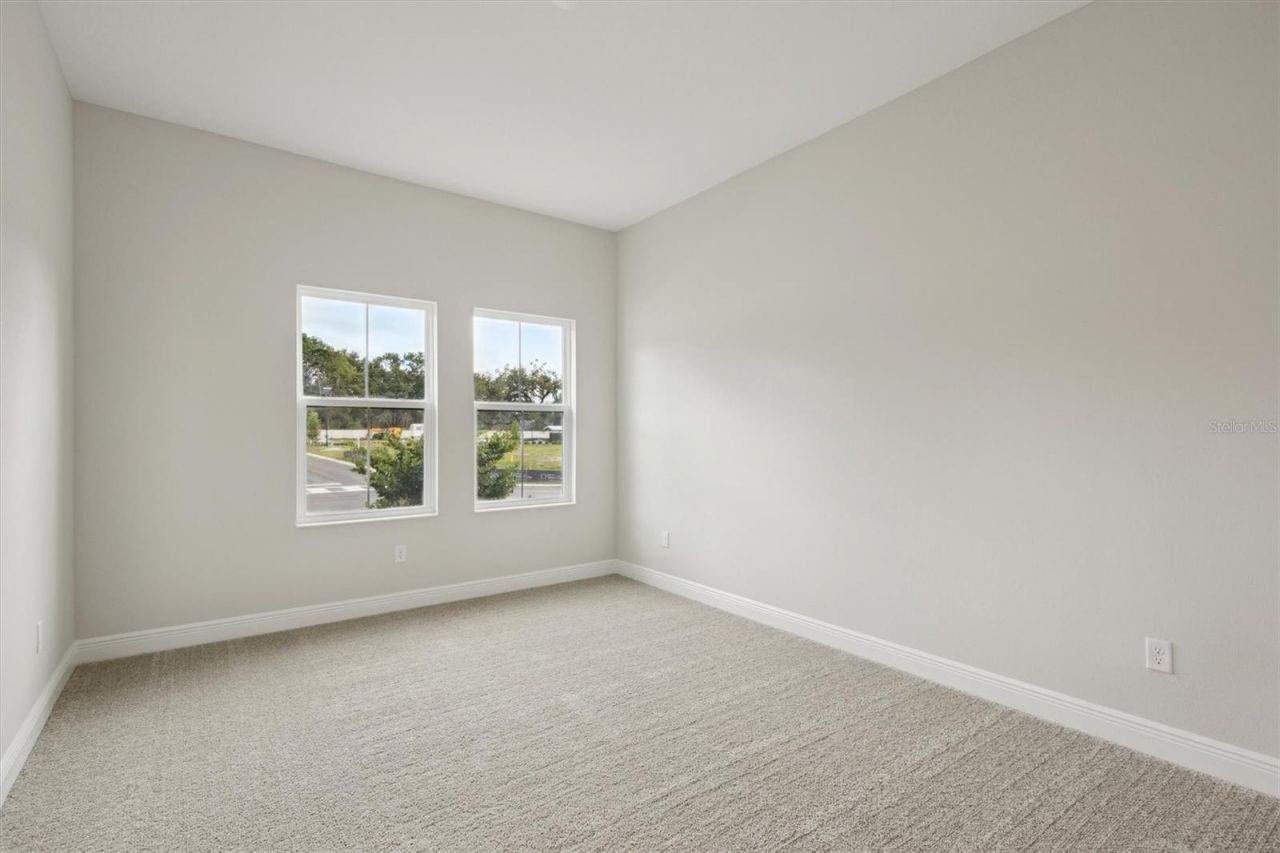 4630 Cedar Fog Ct Drive, Valrico, FL 33596 Photo